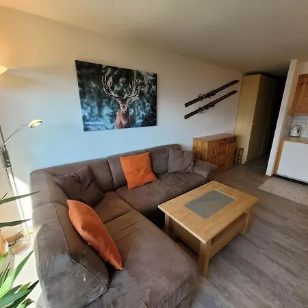 Apartment Joli Studio Renove Ski-in/ski-out Nendaz
